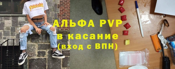 стафф Абинск
