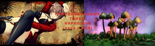 стафф Абинск