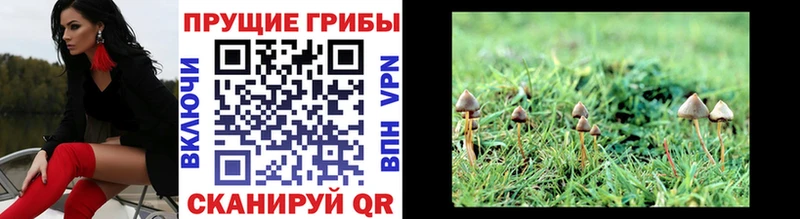 Галлюциногенные грибы GOLDEN TEACHER  Советск 